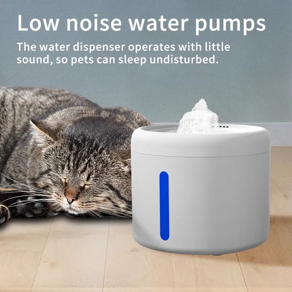 Seseragi fountain running quietly while a cat sleeps