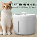 Seseragi pet water fountain in white beside a cat