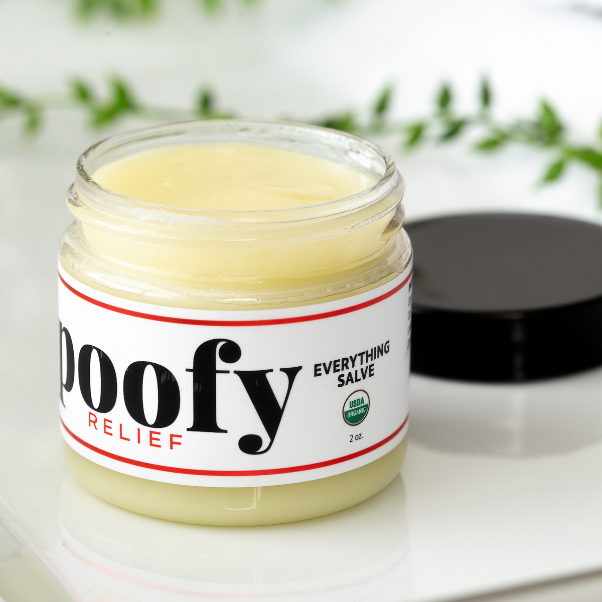 Everything Salve Organic by Poofy Organics